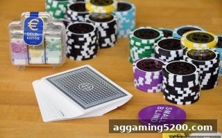 捕鱼达人下载玩家必读：USDT入金龙虎竞技的资金分配与风险管控全攻略