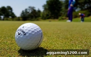 捕鱼达人下载：RTG电子彩票单双大小分析全攻略