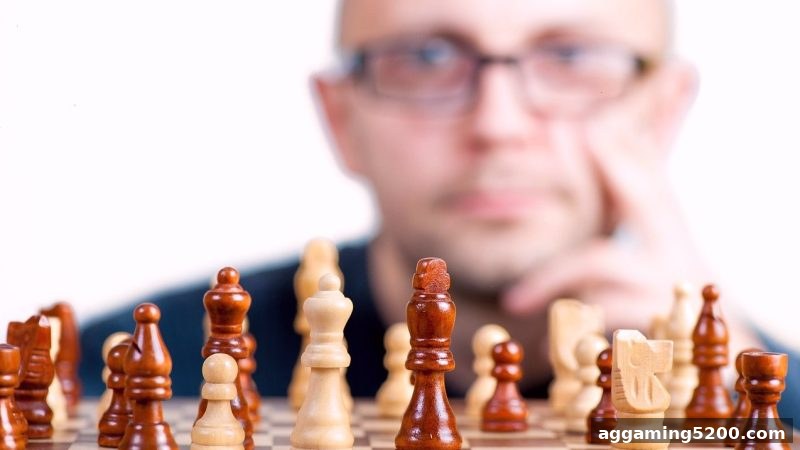 捕鱼达人下载：国际象棋棋具选购与保养终极指南——棋盘、棋子、对局预测全解析