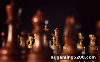 捕鱼达人下载：MG真人扑克游戏中的团队协作与策略进阶指南