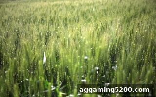捕鱼达人下载：AG亚游好友邀请奖励全攻略——从规则到收益，轻松赚取额外福利