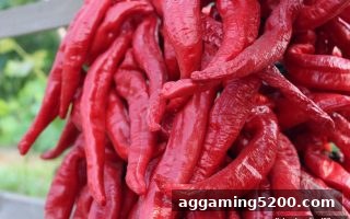 捕鱼达人下载老用户回馈活动全解析