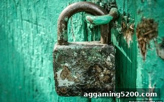 英超直播观赛互动陷阱多？合法渠道与风险防范全解析——捕鱼达人下载为你护航