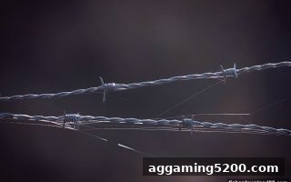 维权律师选择攻略：捕鱼达人下载教你避开首充优惠陷阱