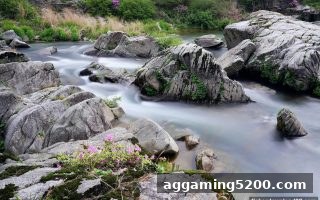 深度解读体育赛事数据：即时比分、前瞻分析与捕鱼达人下载的智慧融合